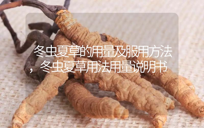 冬蟲(chóng)夏草的用量及服用方法，冬蟲(chóng)夏草用法用量