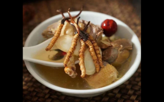 女性常吃冬蟲夏草養腎美容的作用