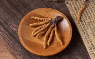 如何根據用途選購適合需要的冬蟲夏草！