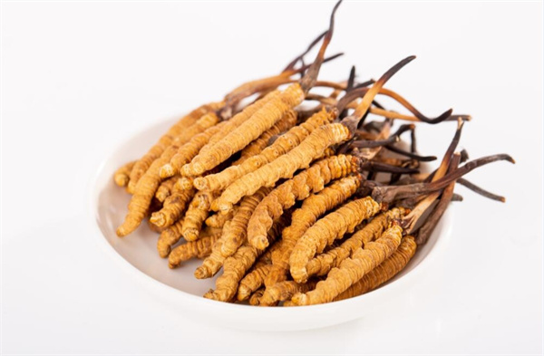 冬蟲夏草和夾脊魚搭配怎么吃？