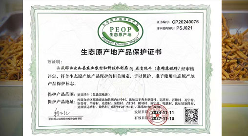 德耀娜秀 奮進(jìn)比如║熱烈祝賀！比如縣“亞貢牦牛”入選農(nóng)業(yè)農(nóng)村部全國名特優(yōu)新農(nóng)產(chǎn)品名錄