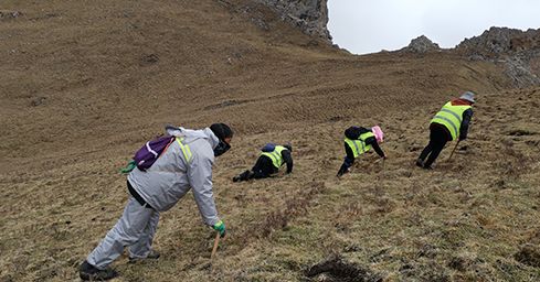 <a href=http://www.pinpinyl.com.cn/sdph/zf/ target=_blank class=infotextkey>珍峰冬蟲夏草</a>:源自世界屋脊的養生瑰寶