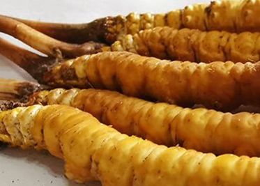 <a href=http://www.pinpinyl.com.cn/sdph/zf/ target=_blank class=infotextkey>珍峰冬蟲夏草</a>主要的銷售模式