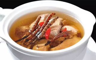 冬蟲夏草煲湯的最佳季節，喝對事半功倍