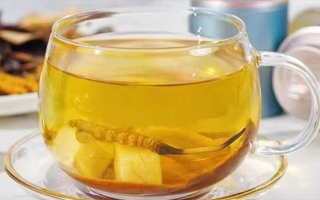 冬蟲夏草可以直接泡水喝嗎？科學解析與正確方法