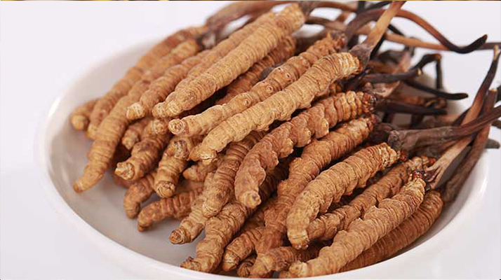 冬蟲夏草藥酒飲用指南:滋補養生的正確打開方式