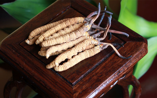 怎樣鑒別冬蟲夏草的產地