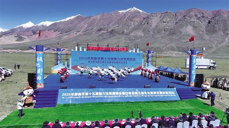 雪域高原迎盛會 蟲草之鄉展新顏——那曲市第十五屆魅力蟲草展銷會暨巴青縣第五屆冬蟲夏草采集體驗活動盛大開幕