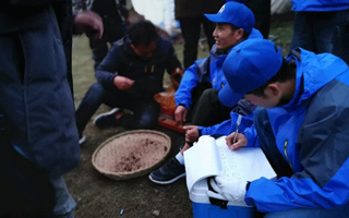 冬蟲夏草的一克究竟有多少根？揭秘珍稀中的奧秘