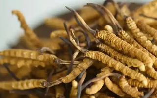 孕婦如何服用冬蟲(chóng)夏草？安全滋補(bǔ)指南