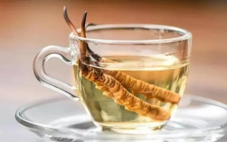 十根冬蟲夏草泡多少酒？科學配比與實操指南