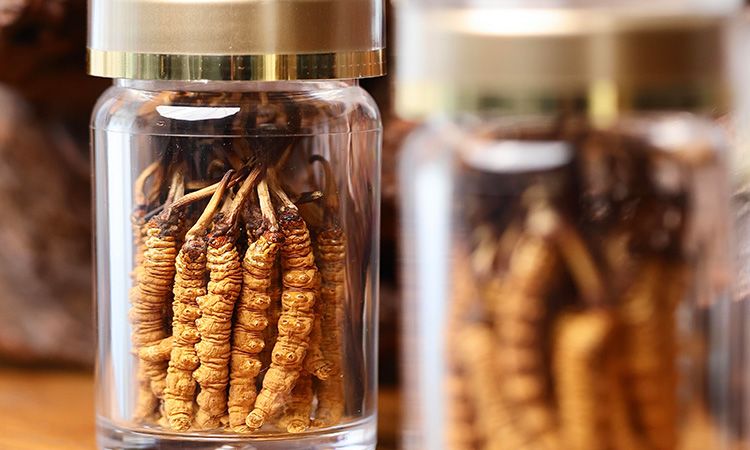 送冬蟲(chóng)夏草給男孩子好嗎