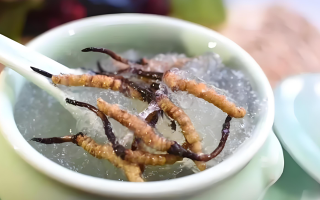十根冬蟲夏草能泡幾斤酒？泡酒比例與細節指南