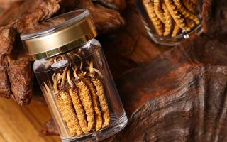 鮮冬蟲(chóng)夏草泡水后怎么保存？3 種場(chǎng)景保存方法 + 避坑指南