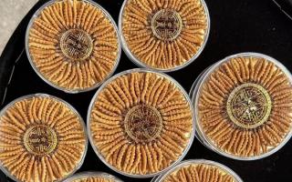 什么白酒適合泡冬蟲夏草？4 大標準 + 泡制指南